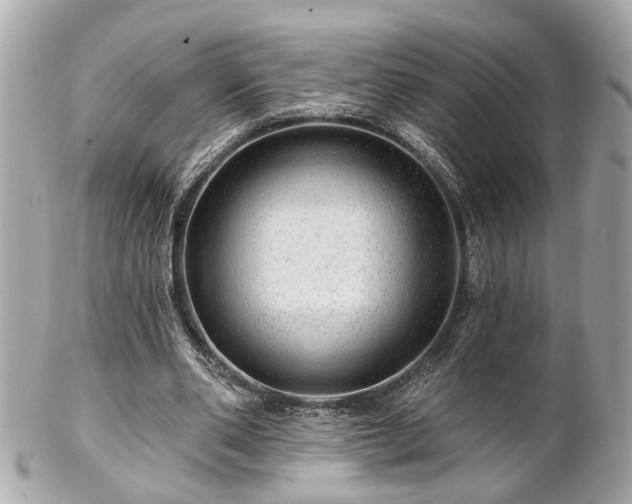 X0000102490486200808151500