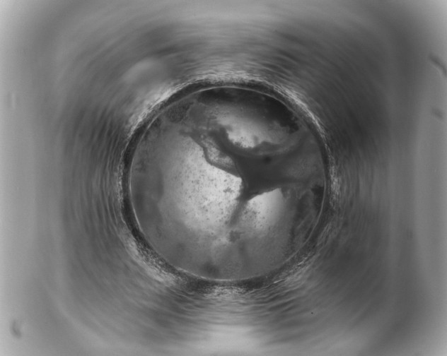 X0000102490487200808151500