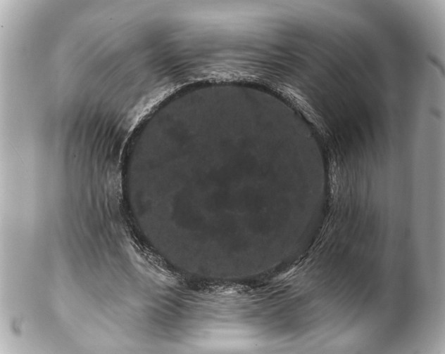 X0000102490488200808151500