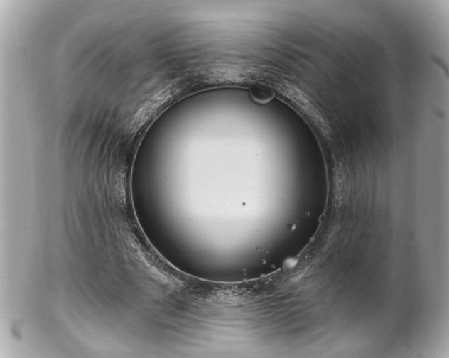 X0000102490489200808151500