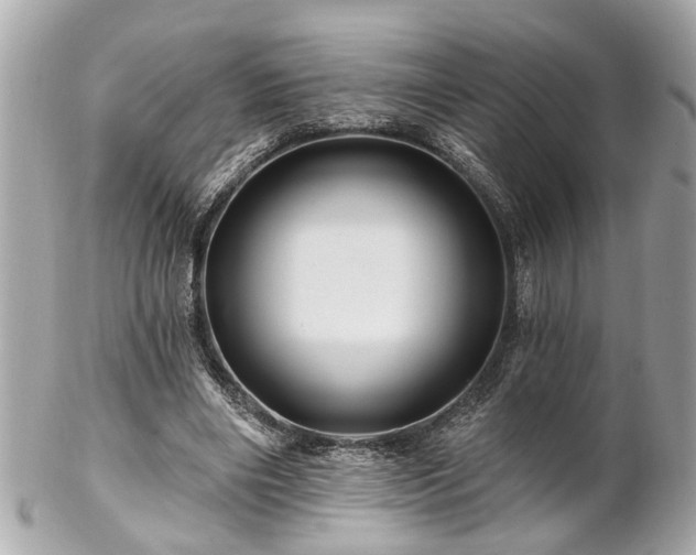 X0000102490490200808151500