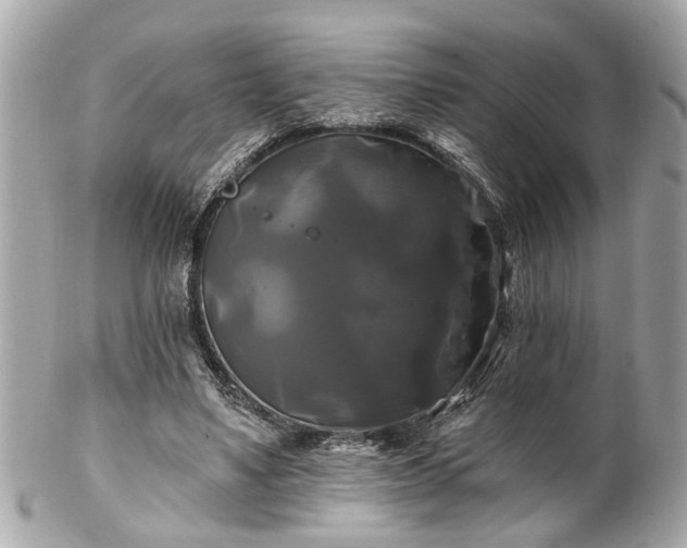 X0000102490491200808151500