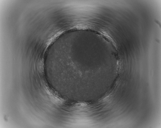 X0000102490492200808151500