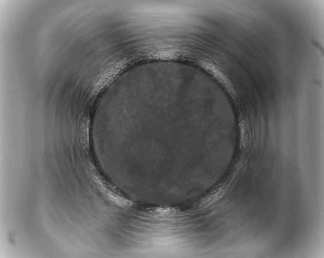 X0000102490493200808151500