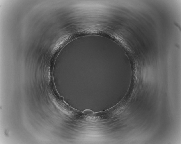 X0000102490494200808151500