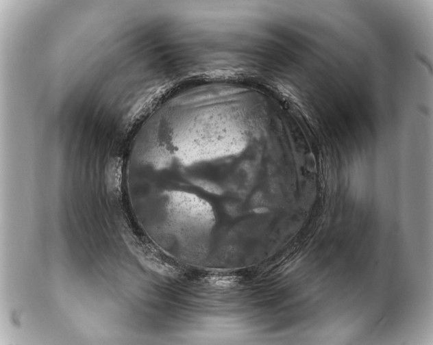 X0000102490495200808151500