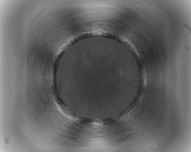 X0000102490496200808151500