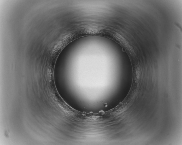 X0000102490497200808151500