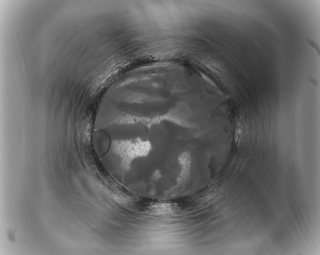 X0000102490499200808151500