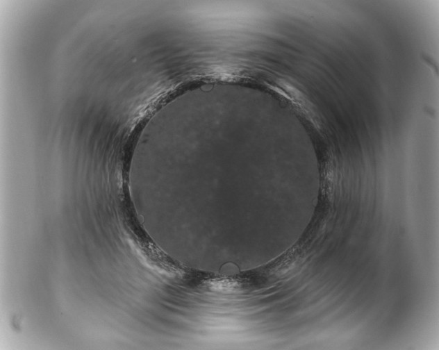 X0000102490500200808151500