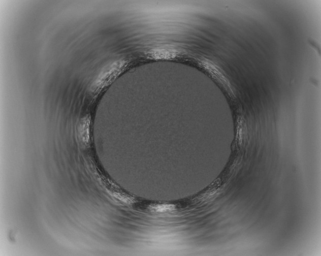 X0000102490501200808151500