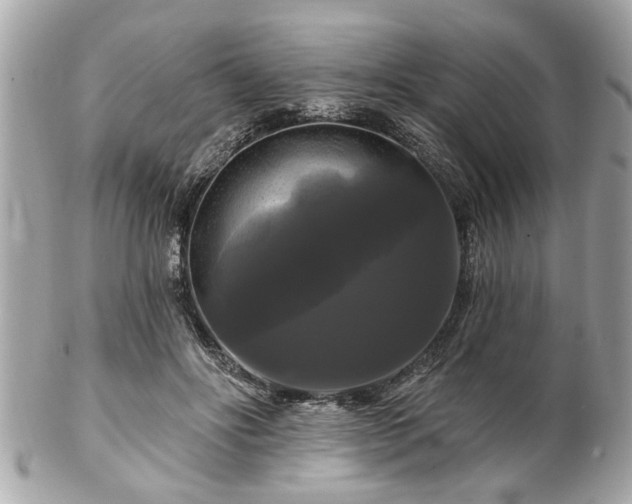 X0000102490502200808151500