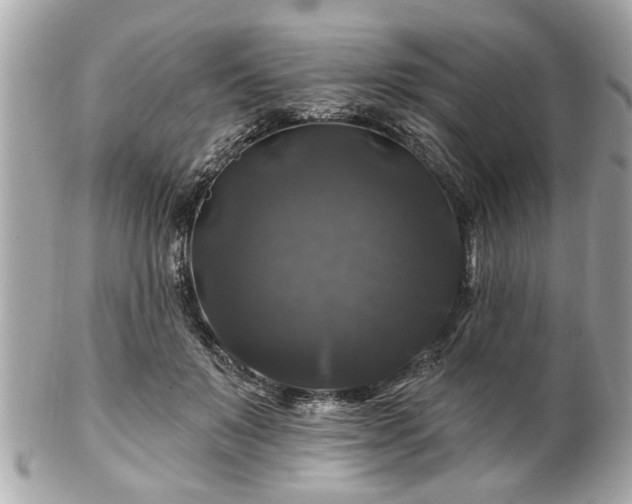 X0000102490503200808151500