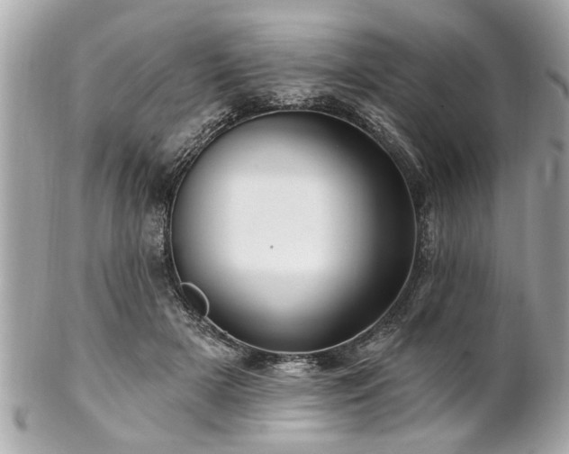 X0000102490505200808151500