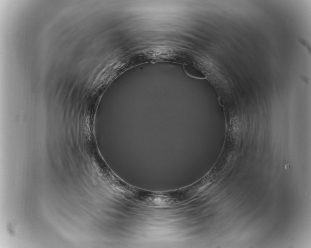 X0000102490506200808151500