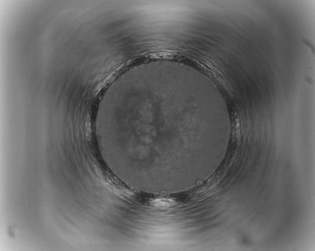 X0000102490508200808151500