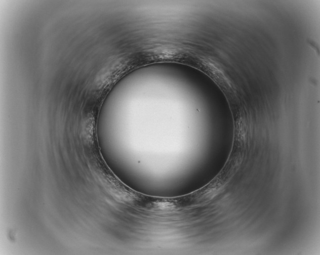 X0000102490509200808151500