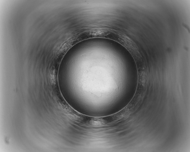 X0000102490510200808151500