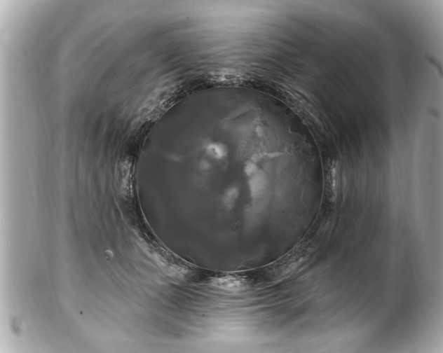 X0000102490511200808151500