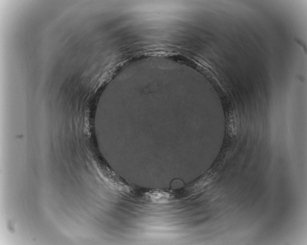 X0000102490512200808151500