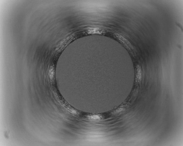 X0000102490513200808151500