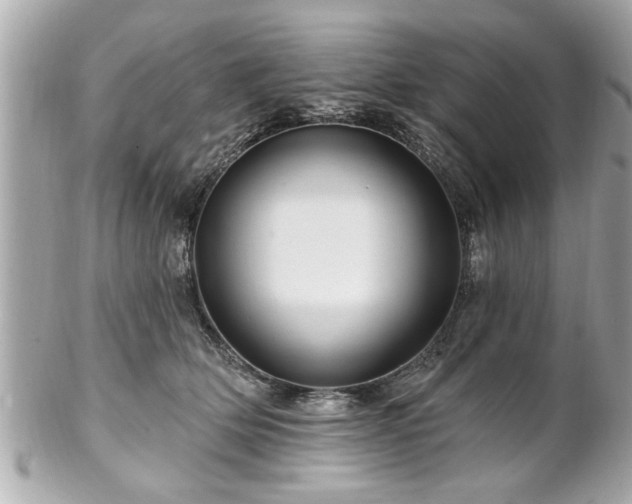 X0000102490514200808151459