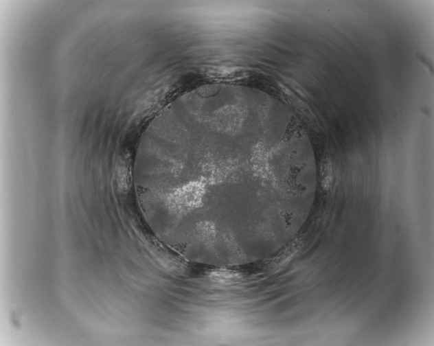 X0000102490515200808151459