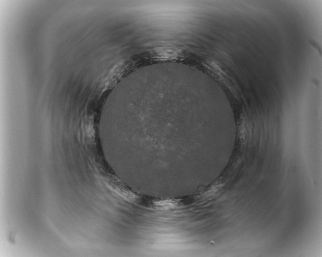 X0000102490516200808151459