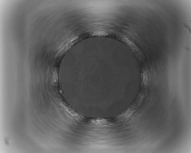 X0000102490517200808151459