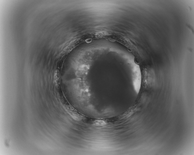 X0000102490519200808151459