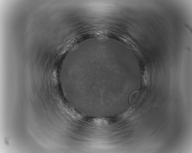 X0000102490520200808151459