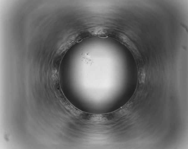 X0000102490521200808151459