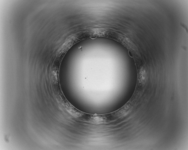 X0000102490522200808151459