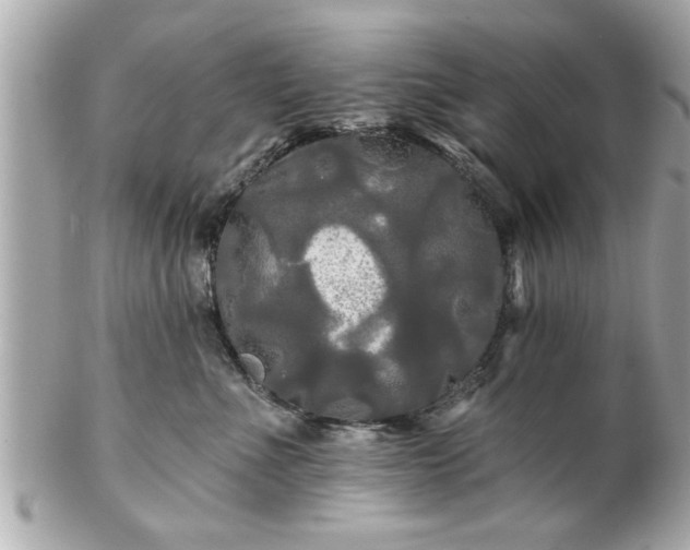 X0000102490523200808151459