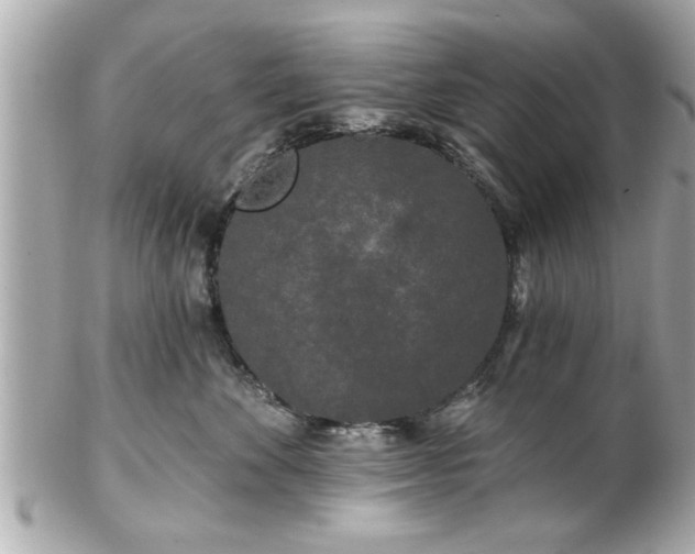 X0000102490524200808151459