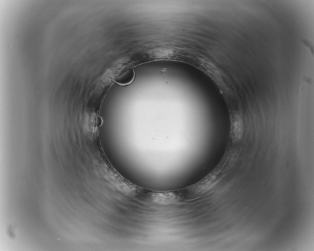 X0000102490525200808151459