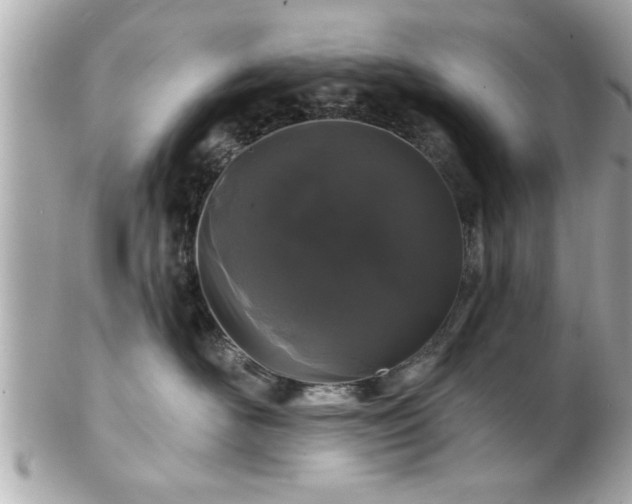 X0000102490526200808151459