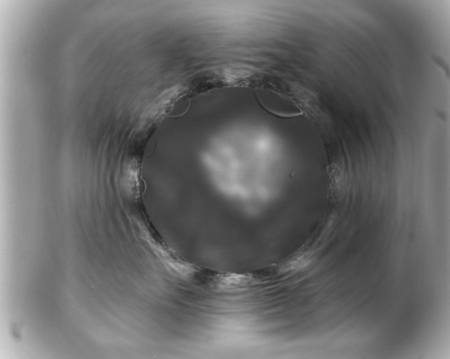 X0000102490527200808151459