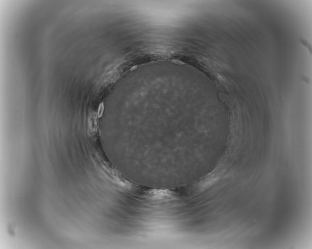 X0000102490528200808151459