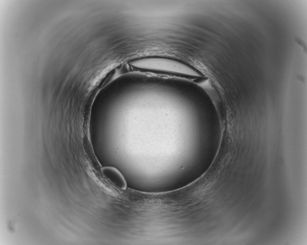 X0000102490530200808151458