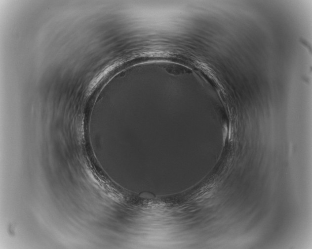 X0000102490531200808151458