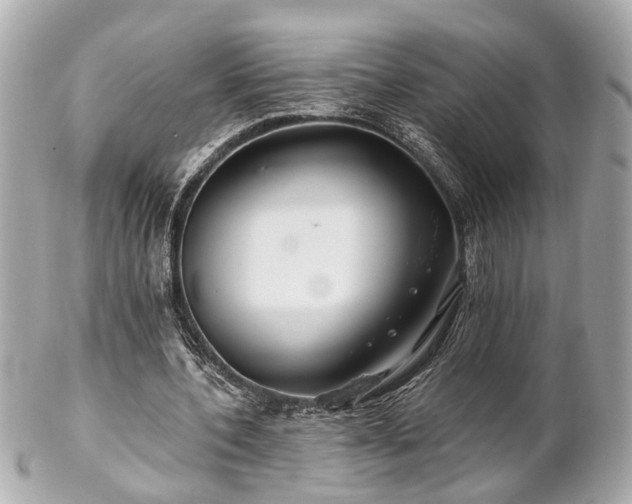 X0000102490532200808151458