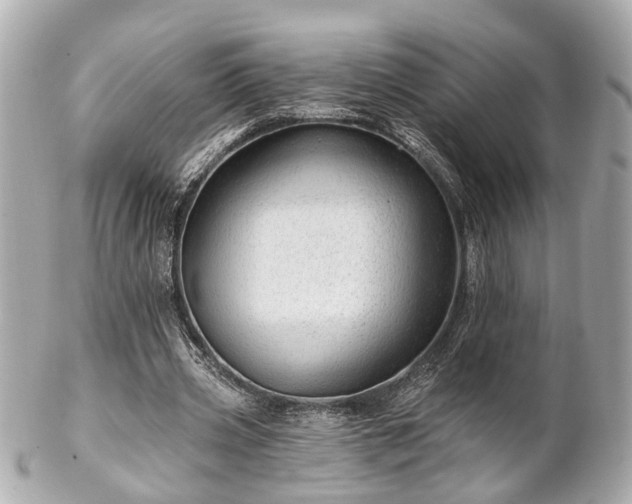 X0000102490533200808151458