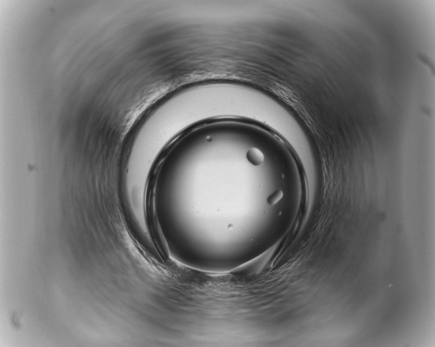 X0000102490534200808151458