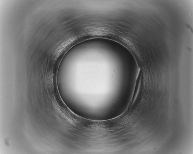 X0000102490535200808151458