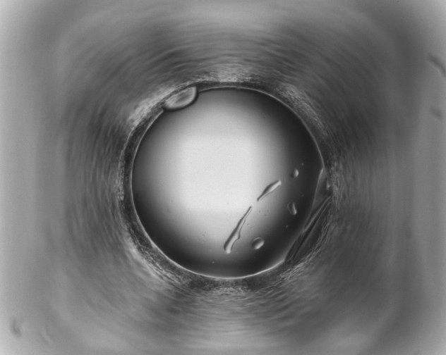 X0000102490536200808151458