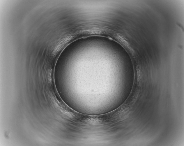 X0000102490537200808151458