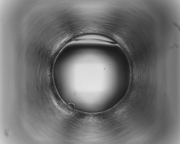 X0000102490538200808151458