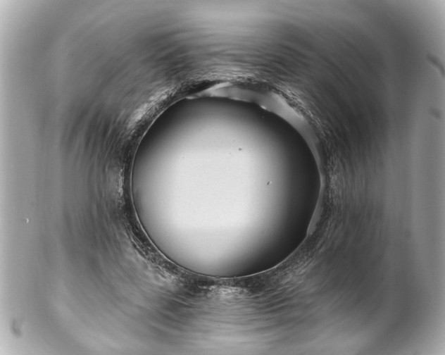 X0000102490539200808151458