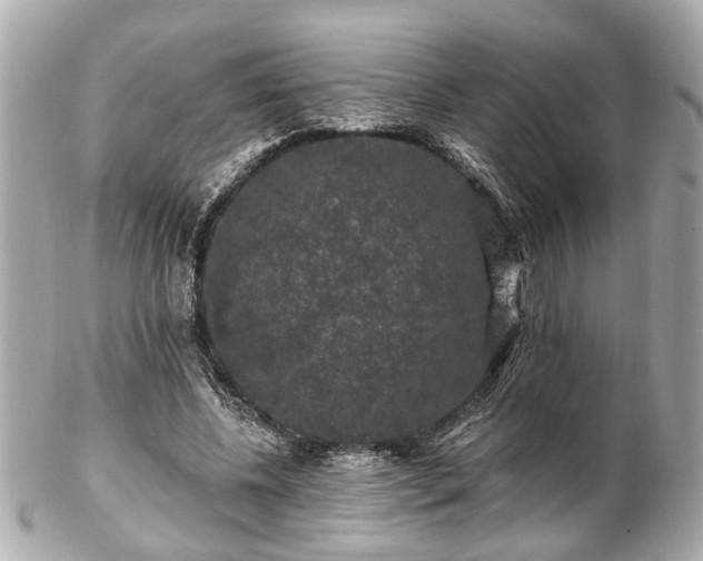 X0000102490540200808151459